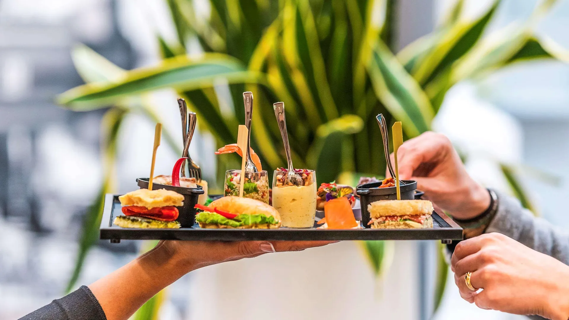 **** Hotel Novotel Toulouse Centre Wilson Frankrig